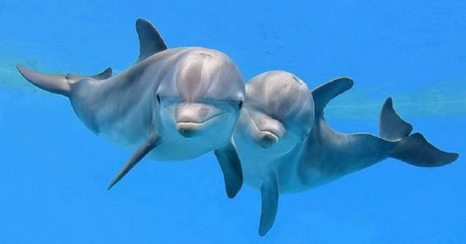 10ήμερο δρομολόγιο Αίγυπτος Κάιρο με κρουαζιέρα στον Νείλο και Χουργκάντα