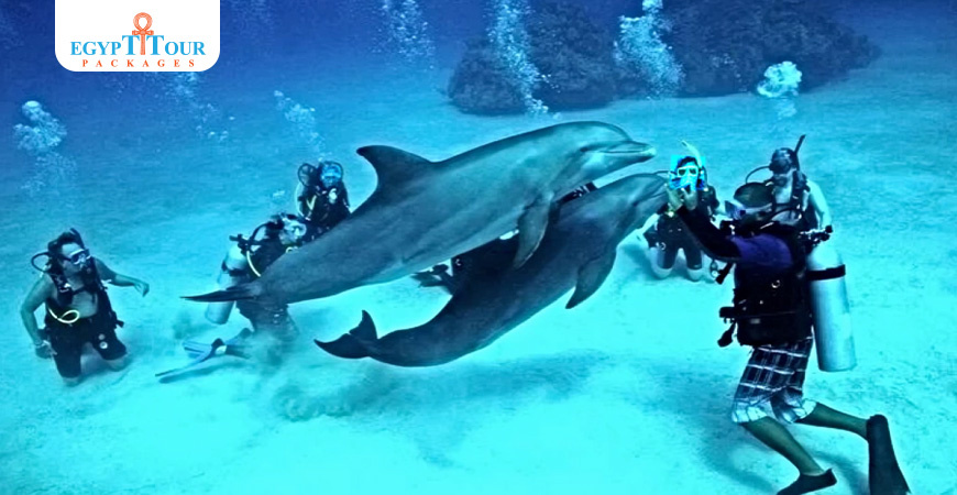 Τα καλύτερα πράγματα να κάνετε στην Ελ Γκούνα | Πακέτα εκδρομών στην Αίγυπτο 