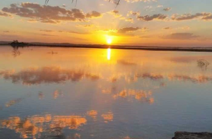 Excursiones a Siwa desde El Cairo