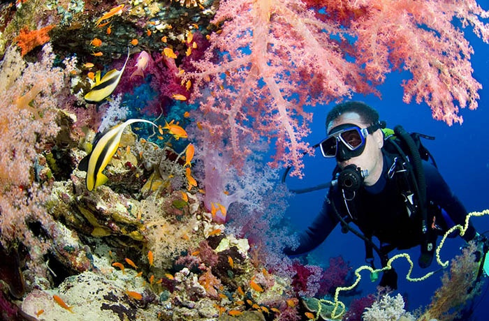 Excursiones de buceo desde Marsa Alam