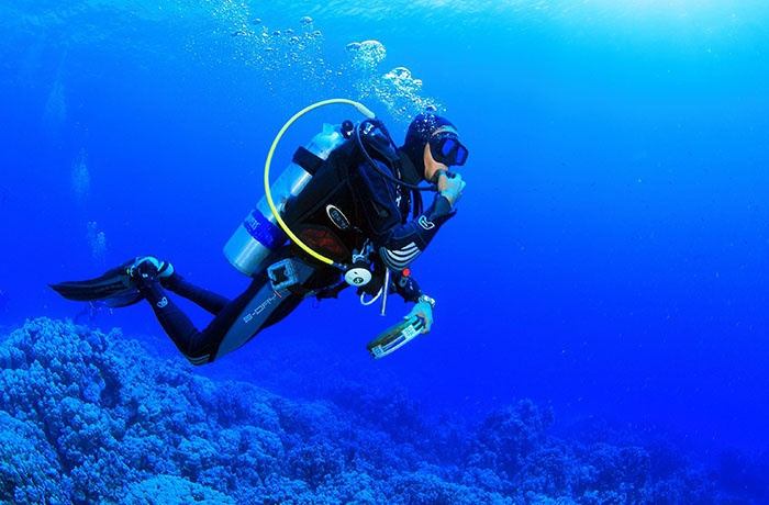 Excursiones de buceo desde Marsa Alam