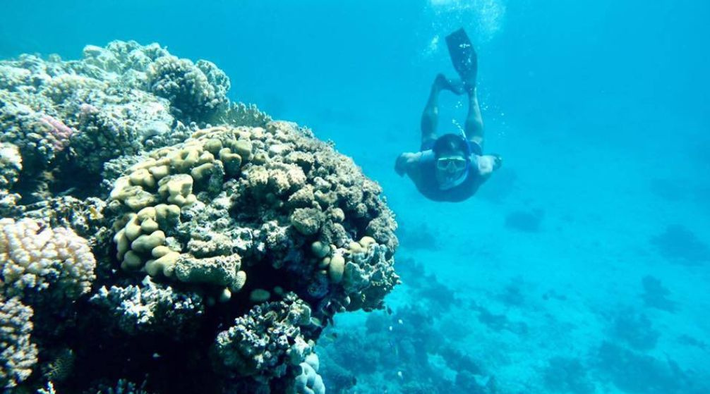 Excursión de snorkel a Sharm el Lulli y wadi El Qulaan de un día