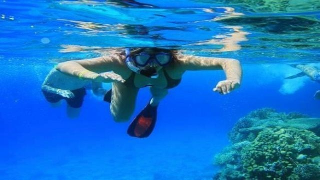 Excursión en barco privado a la isla Hamata desde Marsa Alam