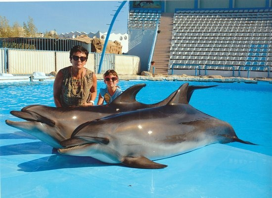 Nadar con los Delfines en Hurghada
