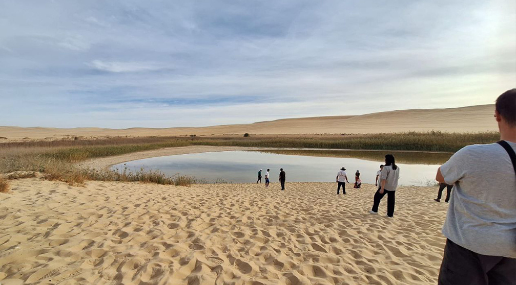Tour de 7 días El Cairo Alejandría y Oasis de Siwa