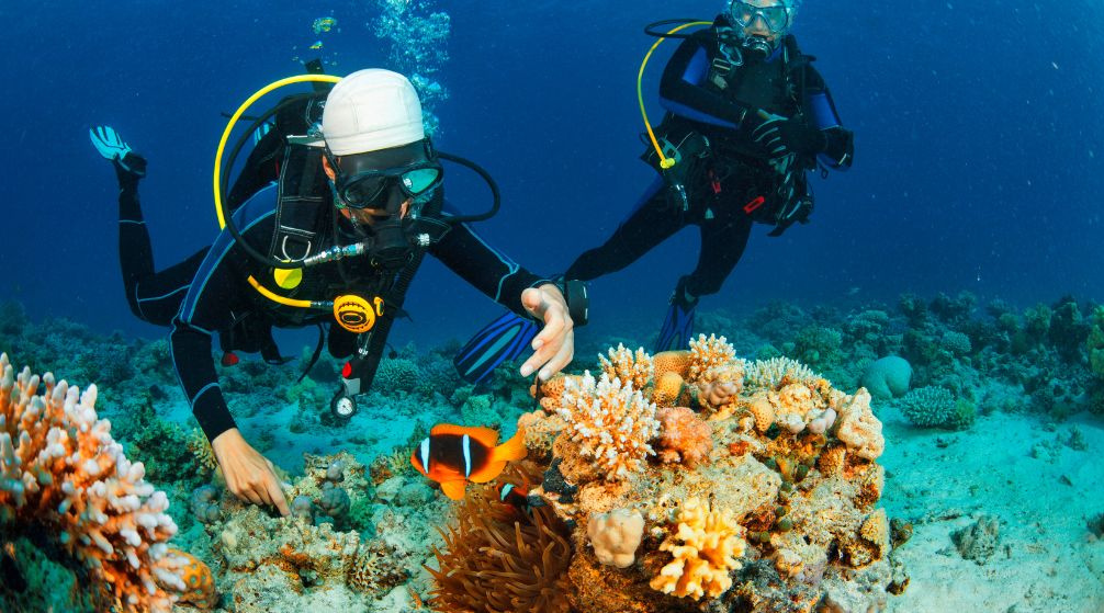Tour de buceo en Marsa Mubarak desde Port Ghalib Tour de buceo en Marsa Mubarak desde Port Ghalib