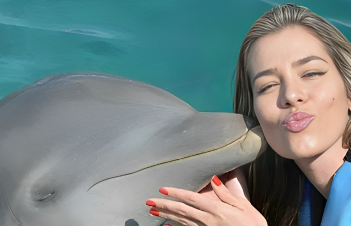 Tours por un Día en Egipto