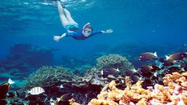 Marsa Mubarak Excursión de buceo desde Marsa Alam