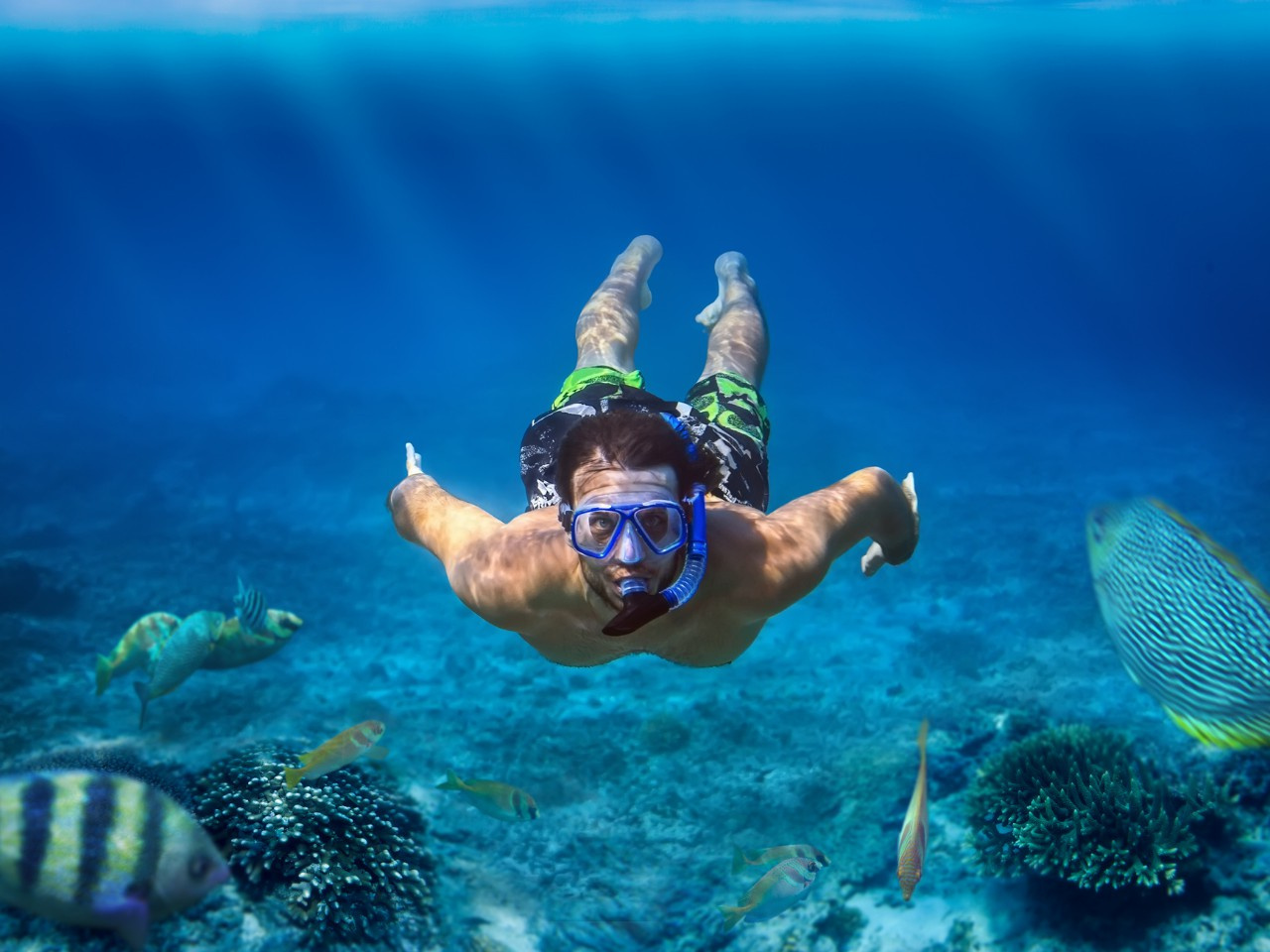 Tour de snorkel desde Port Ghalib a Shaab Samadai