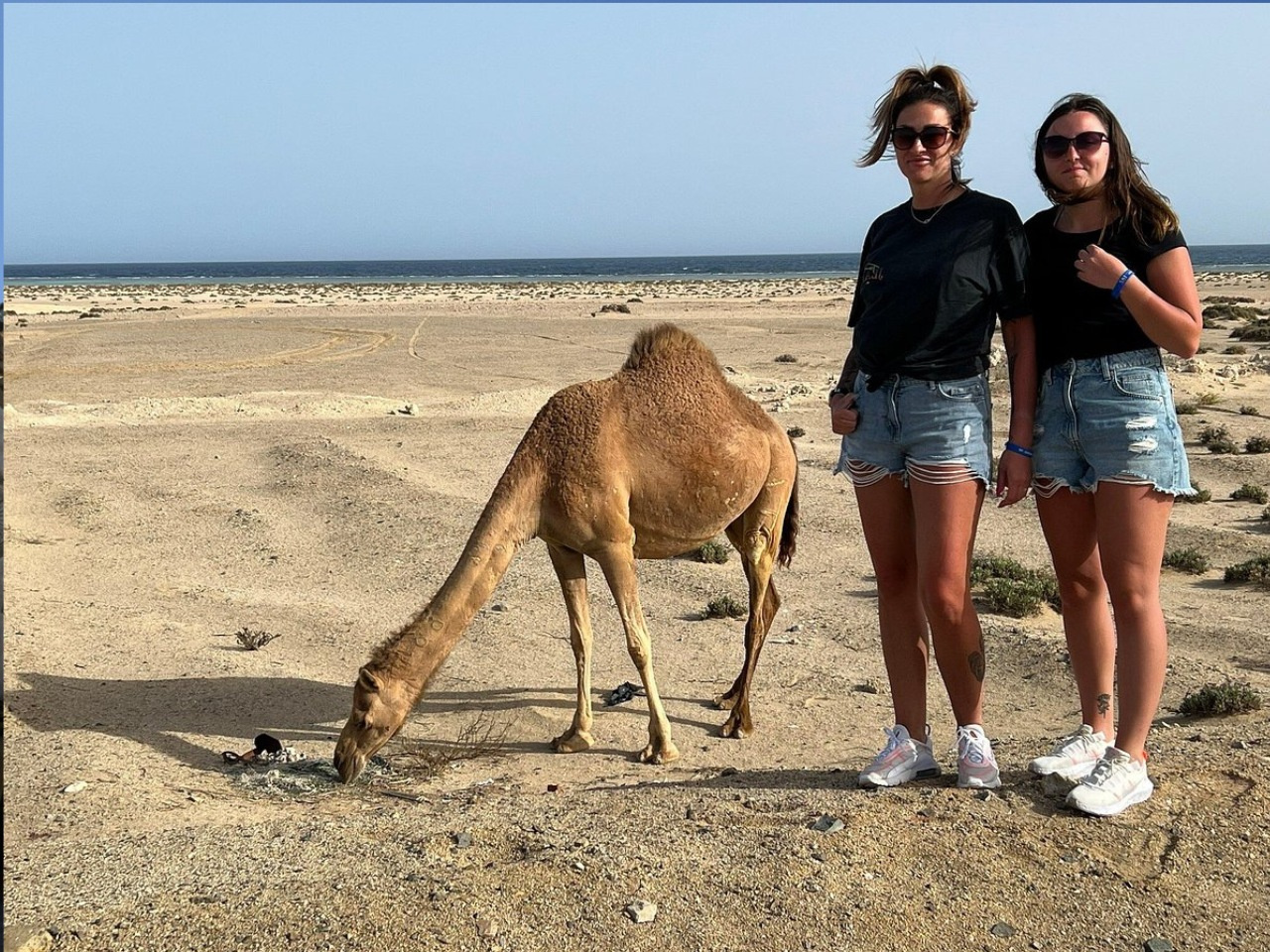 Tour privado desde El Quseir al wadi El Gemal