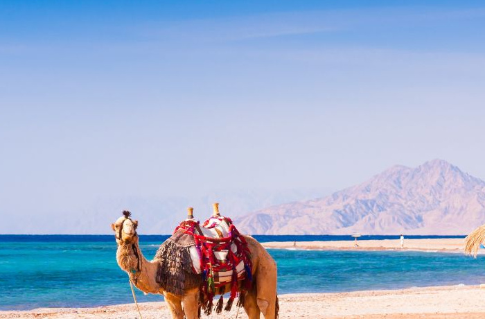 Destinations touristique Destinations touristique