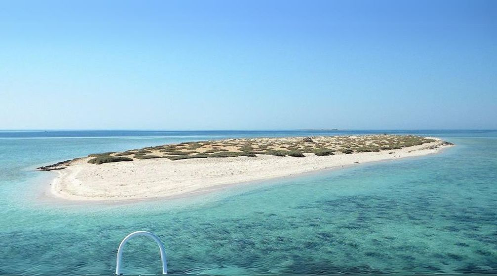 Excursion en bateau privé vers lîle de Hamata depuis Marsa Alam
