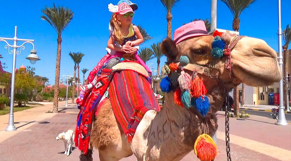 Transfert de laéroport dHurghada à lhôtel à Makadi