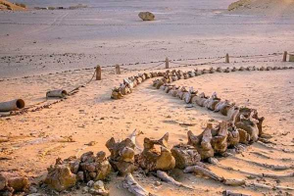 Forfait 6 jours au Caire et au Fayoum