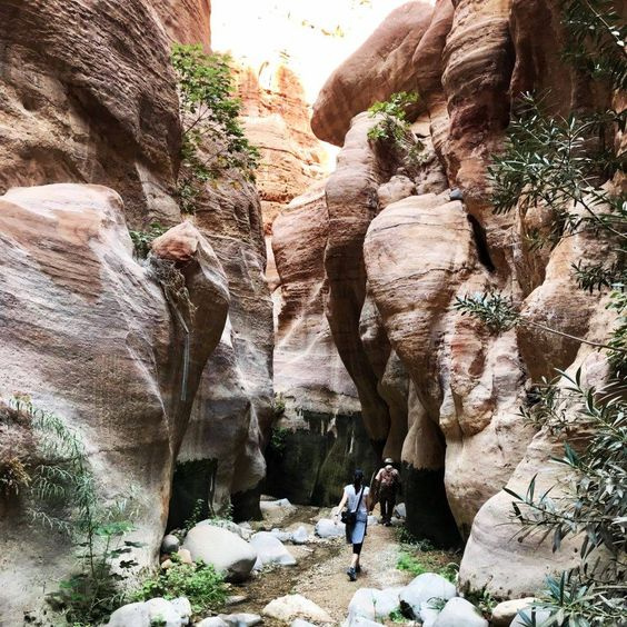 Dana Reserve in Jordan 