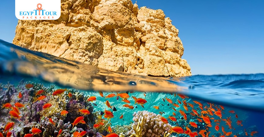 Best things to do in Sharm El Sheikh | Egypt Tour Packages 