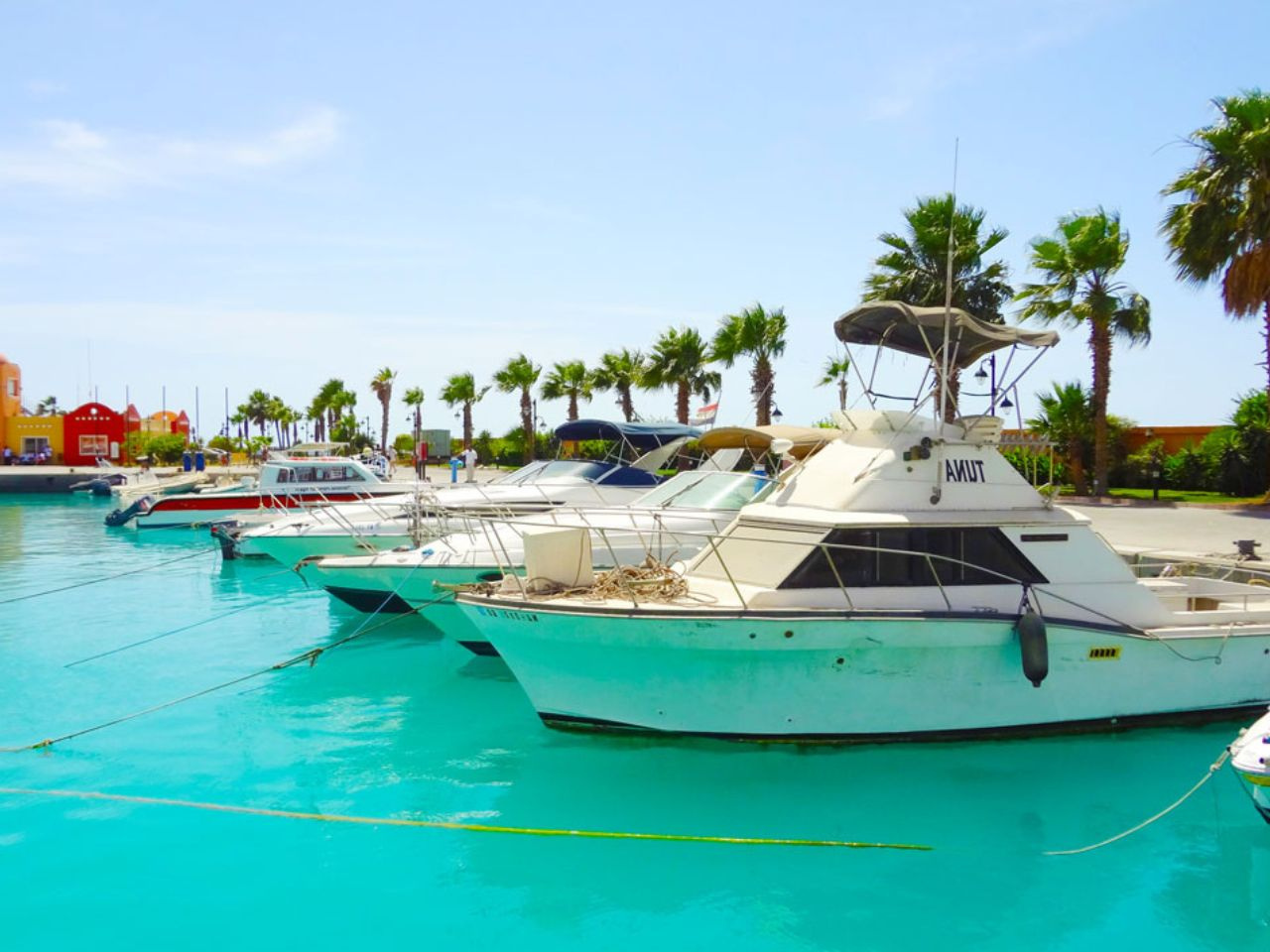 Port Ghalib Shopping Trip From Marsa Alam