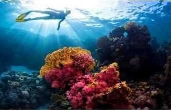 Snorkelling trip at Hamata islands from Marsa Alam