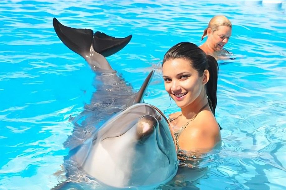 Snorkeling trip to the dolphin house from Makadi