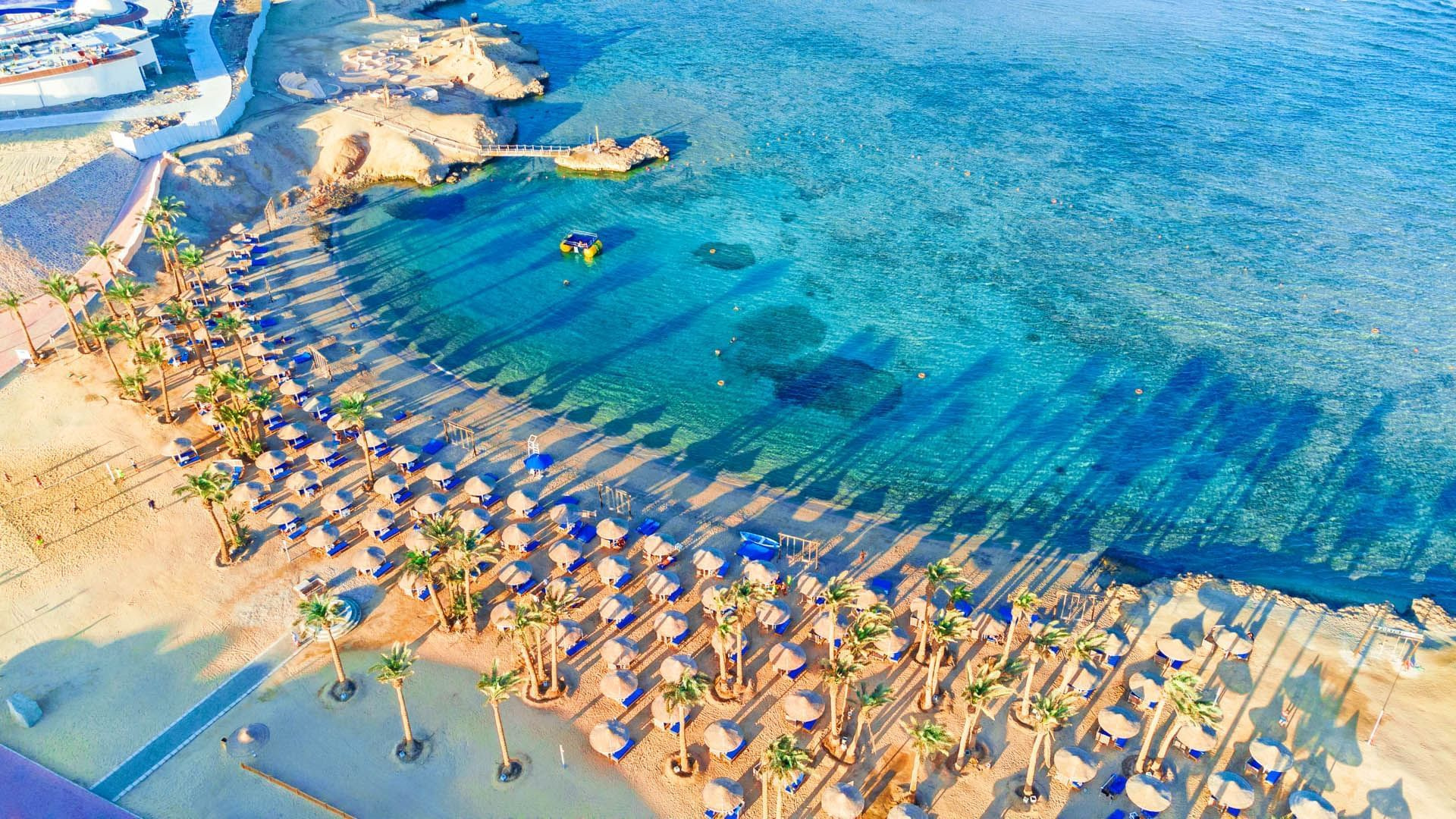 Transfer from Marsa Alam Airport to Pickalbatros Portofino Vita Resort