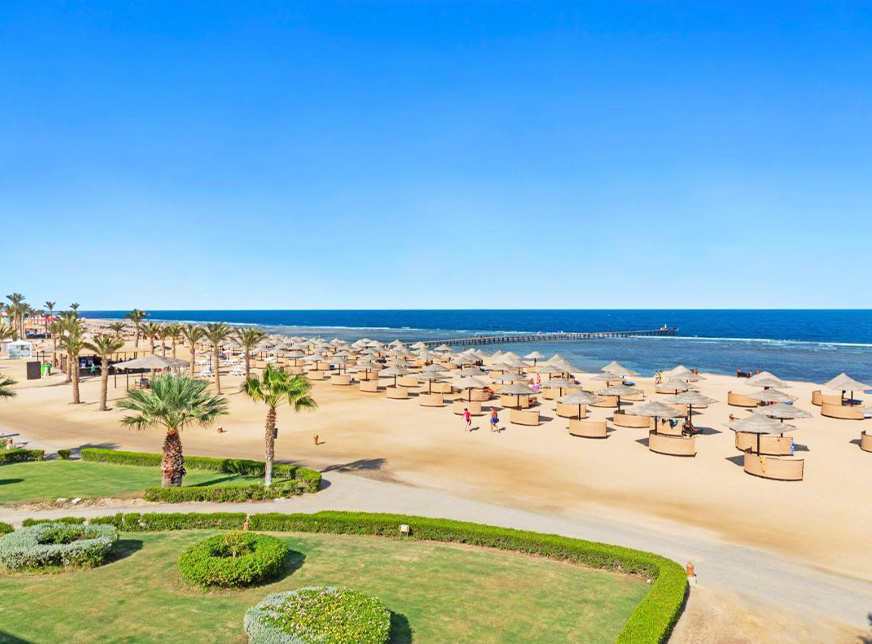 Transfer from Marsa Alam Airport to Pickalbatros palace