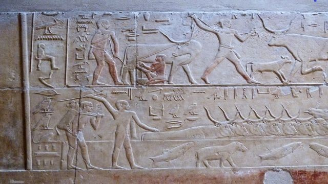 Escursione alle Piramidi di Sakkara e Dahshur