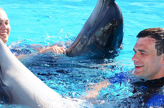 Pacchetti via terra in Egitto