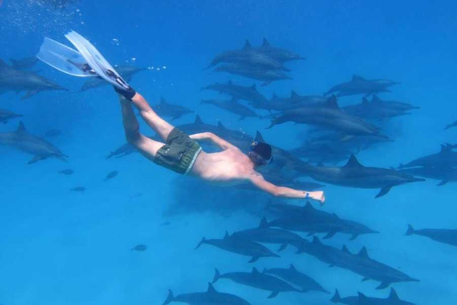 Tour di 14 giorni in Egitto, Cairo, crociera sul Nilo, deserto bianco, Marsa Alam