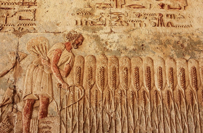 4-daagse reis naar Wadi El Hitan en El Minya met afzetten in Luxor 4 daagse reis naar Wadi El Hitan en El Minya met afzetten in Luxor