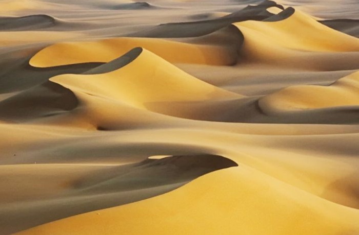 Excursies naar Fayoum oase vanuit Cairo