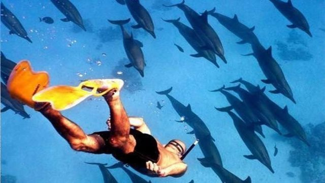 Privéboottocht naar Satayh Dolphin Reef vanuit Marsa Alam