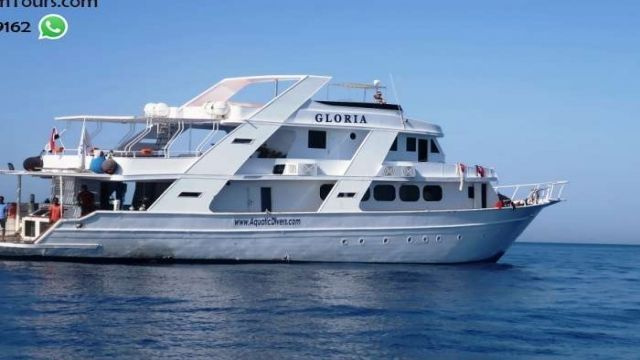 Privéboottocht naar Satayh Dolphin Reef vanuit Marsa Alam