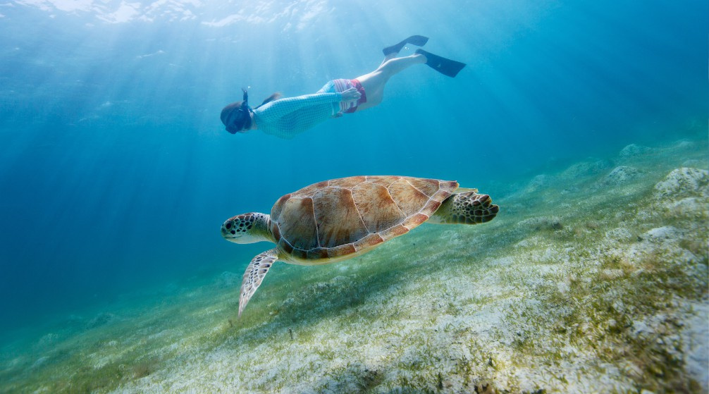 Shaab Samadai Snorkeltrip vanuit Marsa Alam
