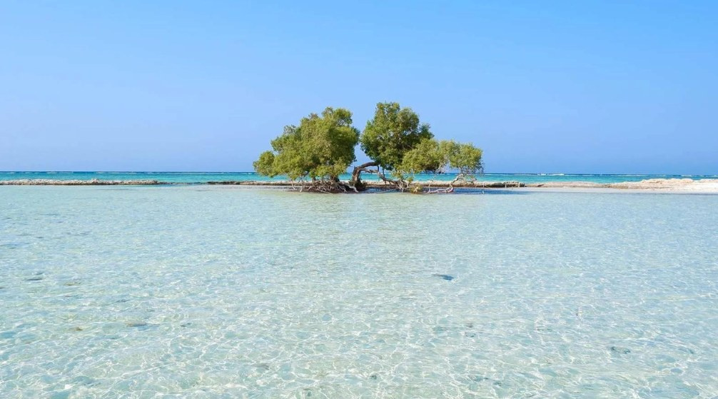 Snorkelen excursie naar Sharm el Lulli en wadi El Qulaan Snorkelen excursie naar Sharm el Lulli en wadi El Qulaan