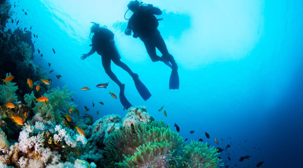 Snorkeling excursie naar Hamata eilanden vanuit Marsa Alam