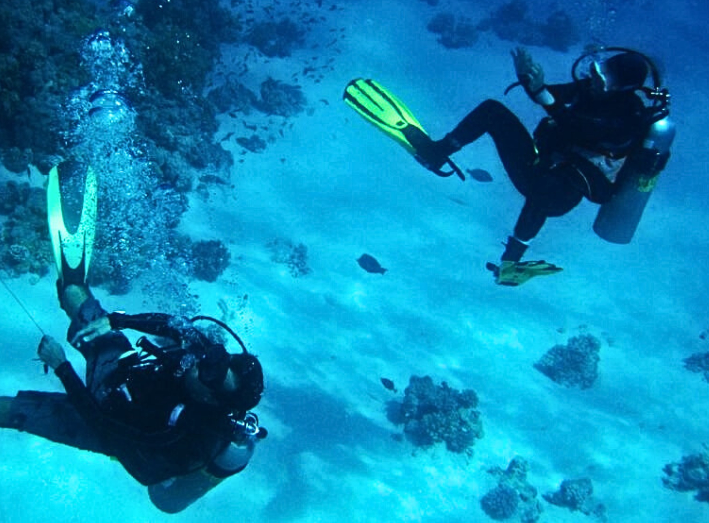 Duiken Dagtrip vanuit Hurghada