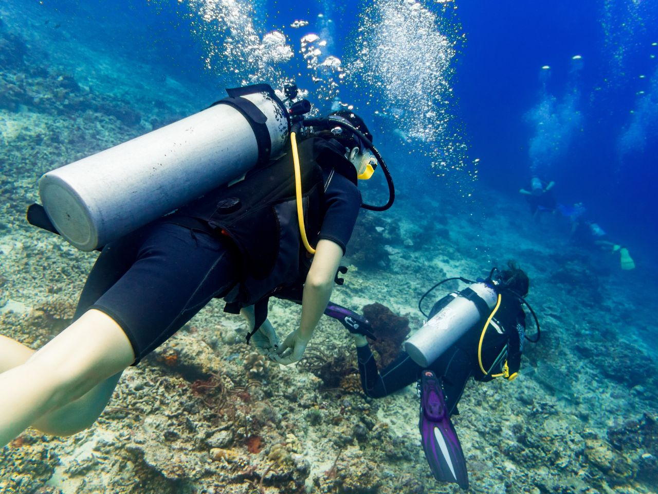 Marsa Mubarak Snorkeltrip vanuit Marsa Alam