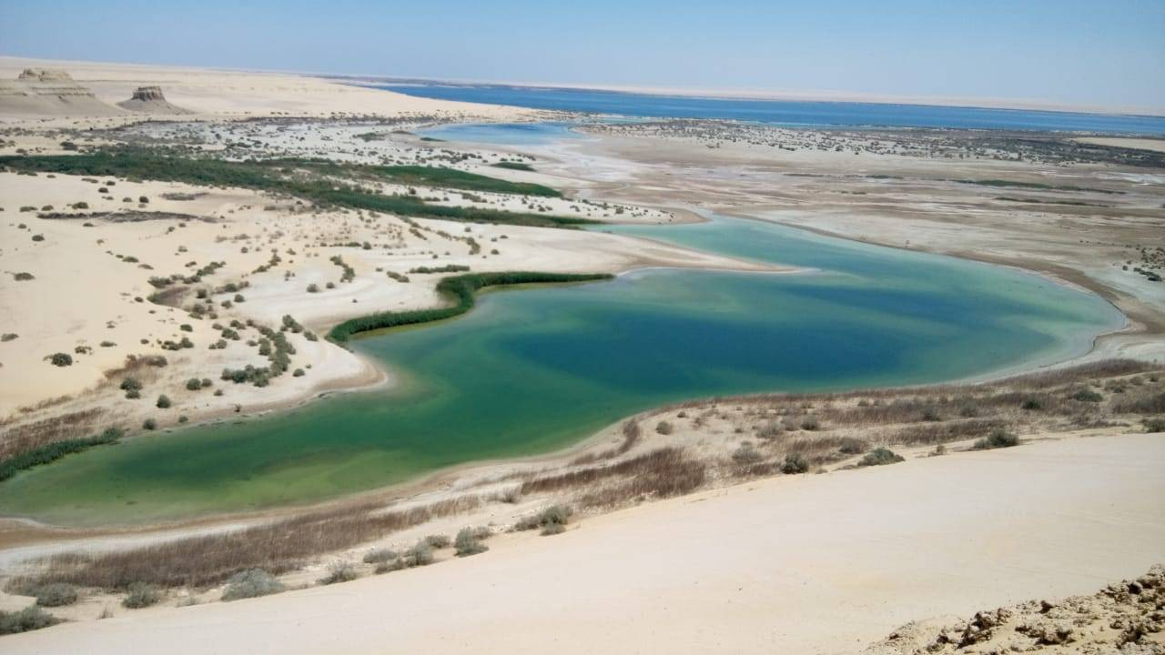 Wycieczka do Wadi Al Hitan i Oazy Fayoum z Kairu